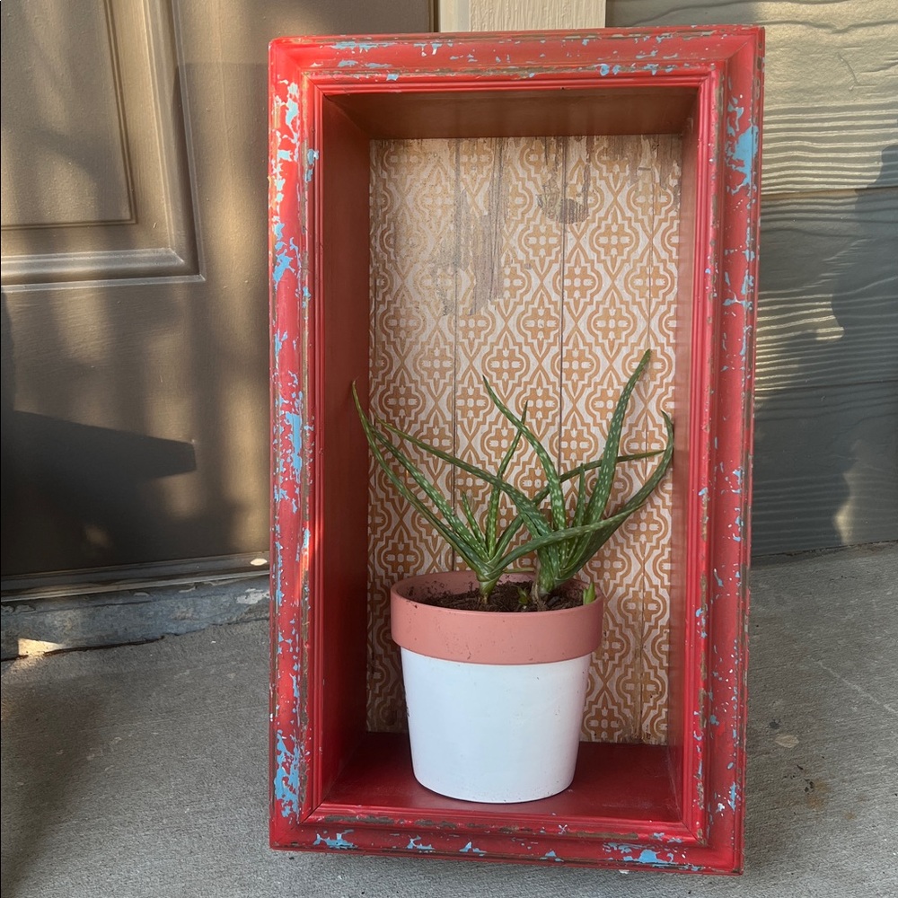 Wall Decor pop out display shelf